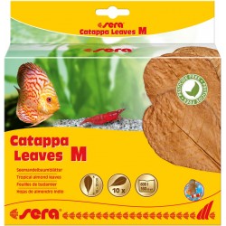 sera Catappa Leaves M 16-20см, 10 броя
