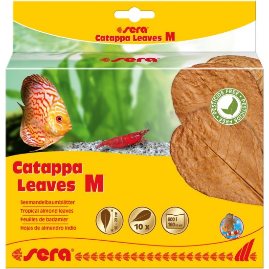 sera Catappa Leaves M 16-20см, 10 броя sera Catappa Leaves M 16-20см, 10 броя