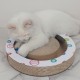 anipro Драскалка за котки, малък кръг бяла, 33х33х4.5 см