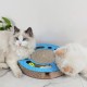 anipro Драскалка за котки, малък кръг син, 33х33х4.5 см
