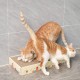 anipro Драскалка за котки, равна, кутия 3 бр, 50.5х23х7.5 см
