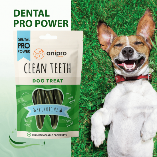 anipro Dental Pro Power фузили със спирулина, 84 г, зелен чай