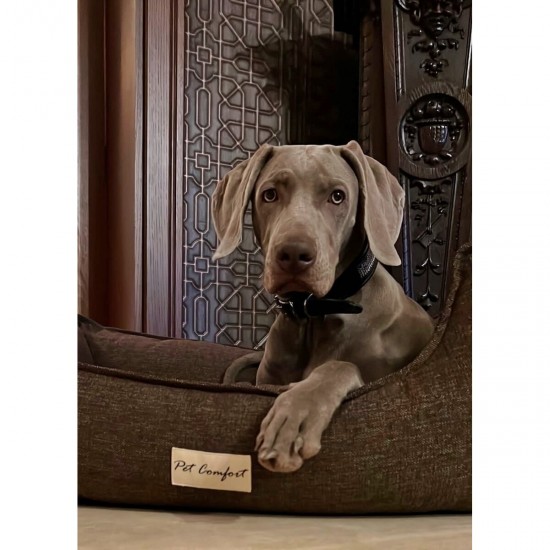 Pet Comfort Bravo легло за кучета и котки, с ортопедична пяна, тъмно сиво, XS, 55х45 см Pet Comfort Bravo легло за кучета и котки, с ортопедична пяна, тъмно сиво, XS, 55х45 см