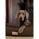 Pet Comfort Bravo легло за кучета и котки, с ортопедична пяна, тъмно сиво, XS, 55х45 см Pet Comfort Bravo легло за кучета и котки, с ортопедична пяна, тъмно сиво, XS, 55х45 см