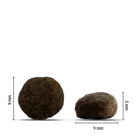 Chicopee Holistic No Grain - пълноценна суха храна за израснали котки с чувствителен стомах, 8 кг