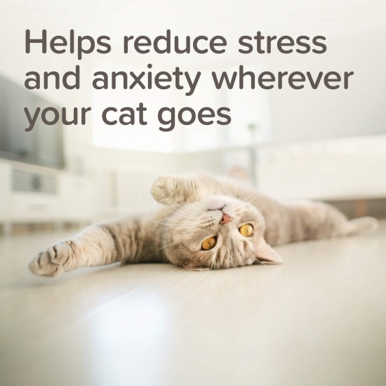 Beaphar StressLess Herbal Calming Spot-On успокояващи пипети за котки, 3 бр