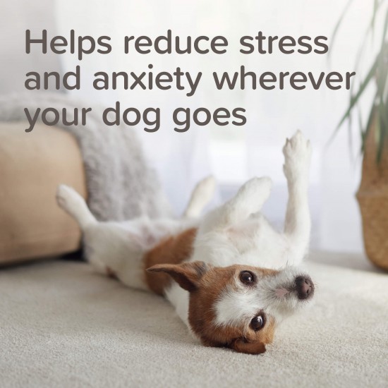 Beaphar StressLess Herbal Calming Collar - успокояващ нашийник за кучета на билкова основа, 65 см
