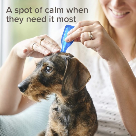 Beaphar CaniComfort Calming Spot On - успокояващи капки с феромони за кучета