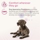 Beaphar CaniComfort Calming Spot On - успокояващи капки с феромони за кучета