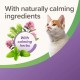 Beaphar StressLess билкови успокояващи хапки за котки, 35 г 