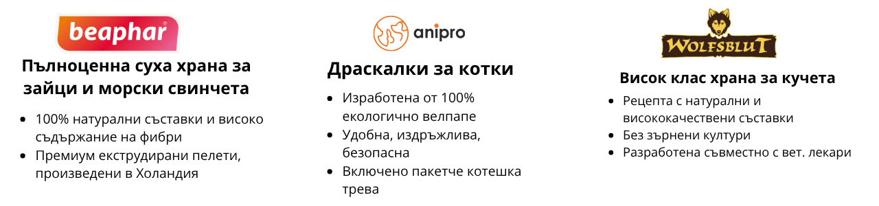 банер-гореща-оферта-промо-продукти