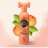 Pet Head Quick Fix 2in1 шампоан и балсам за куче с праскова и арганово масло , 300 мл