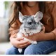 Asan Pet Aloe постелка за гризачи с алое, 42 л Asan Pet Aloe постелка за гризачи с алое, 42 л