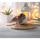 Asan Pet Aloe постелка за гризачи с алое, 42 л Asan Pet Aloe постелка за гризачи с алое, 42 л