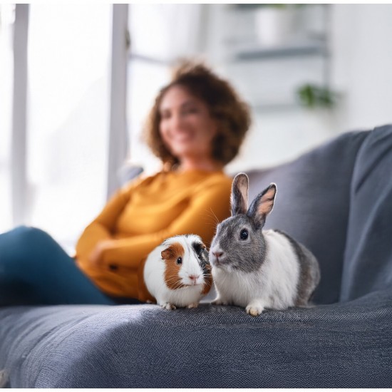 Asan Pet Silver постелка за гризачи антибактериална, 42 л