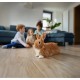 Asan Pet Silver постелка за гризачи антибактериална, 42 л