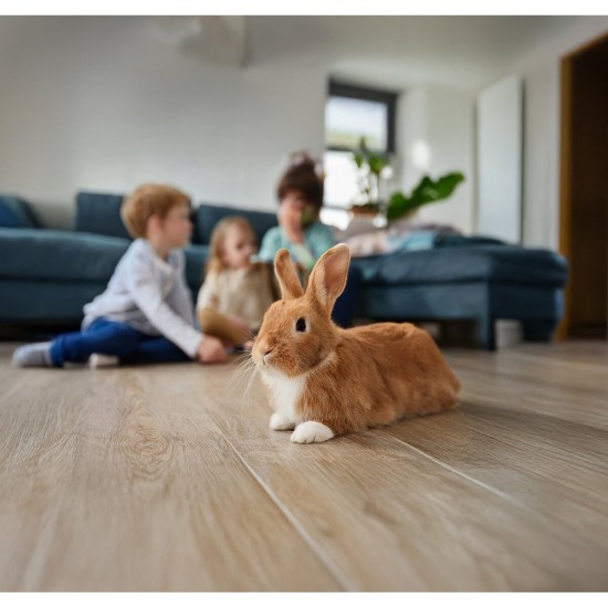 Asan Pet Silver постелка за гризачи антибактериална, 10 л